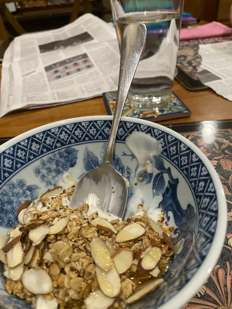Healthy High Protein Yogurt Recipe