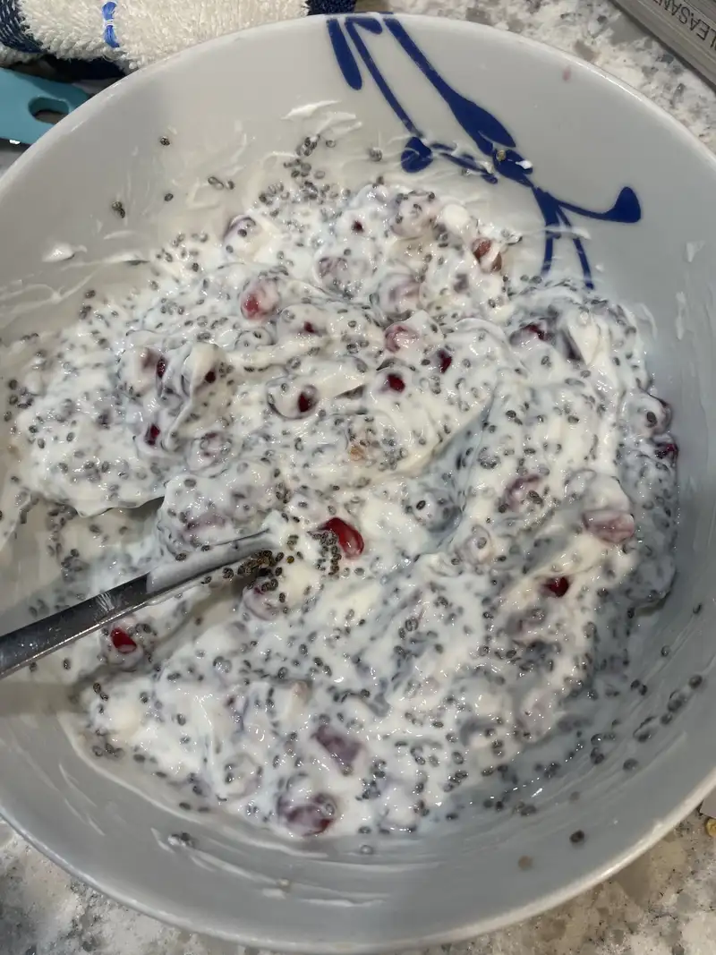 Healthy High Protein Yogurt Recipe