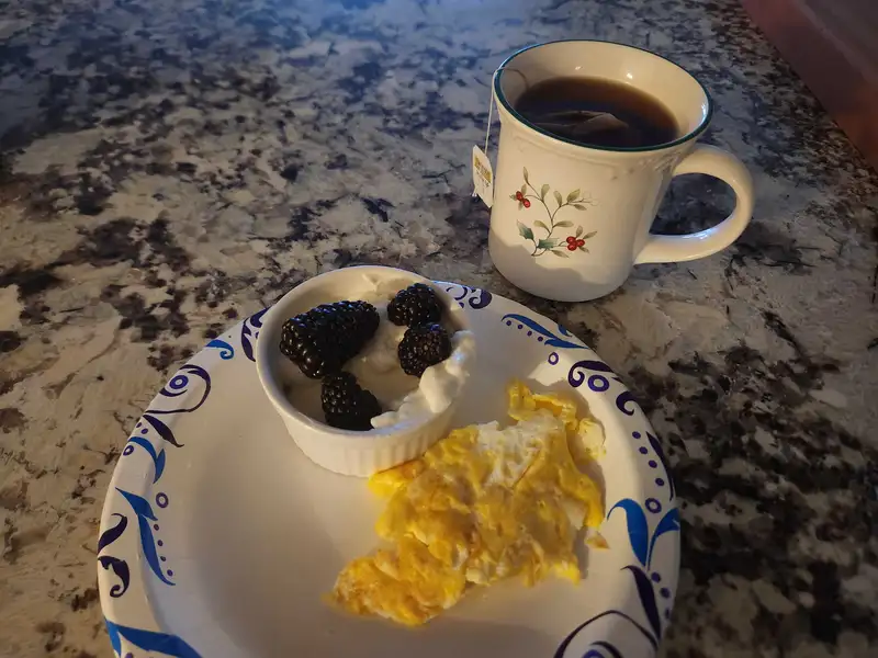 Healthy High Protein Yogurt Recipe