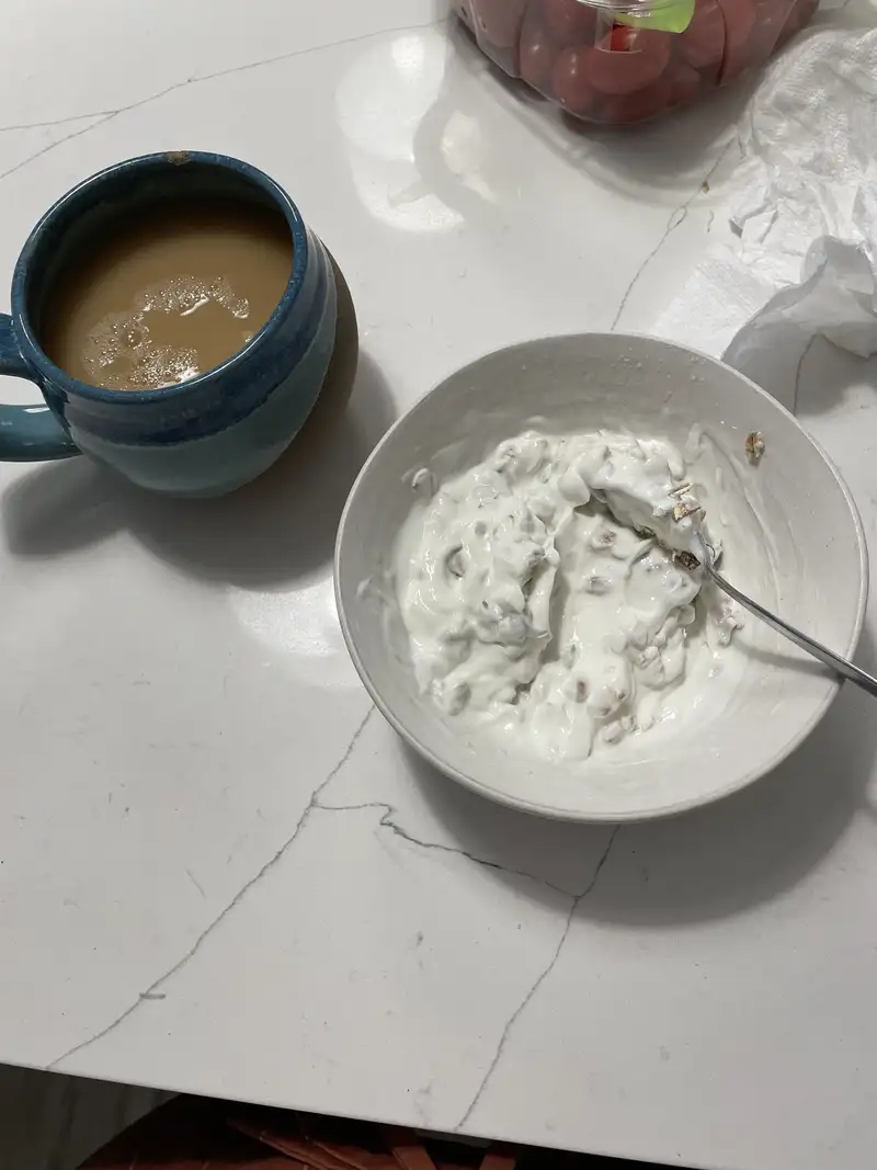 Healthy High Protein Yogurt Recipe