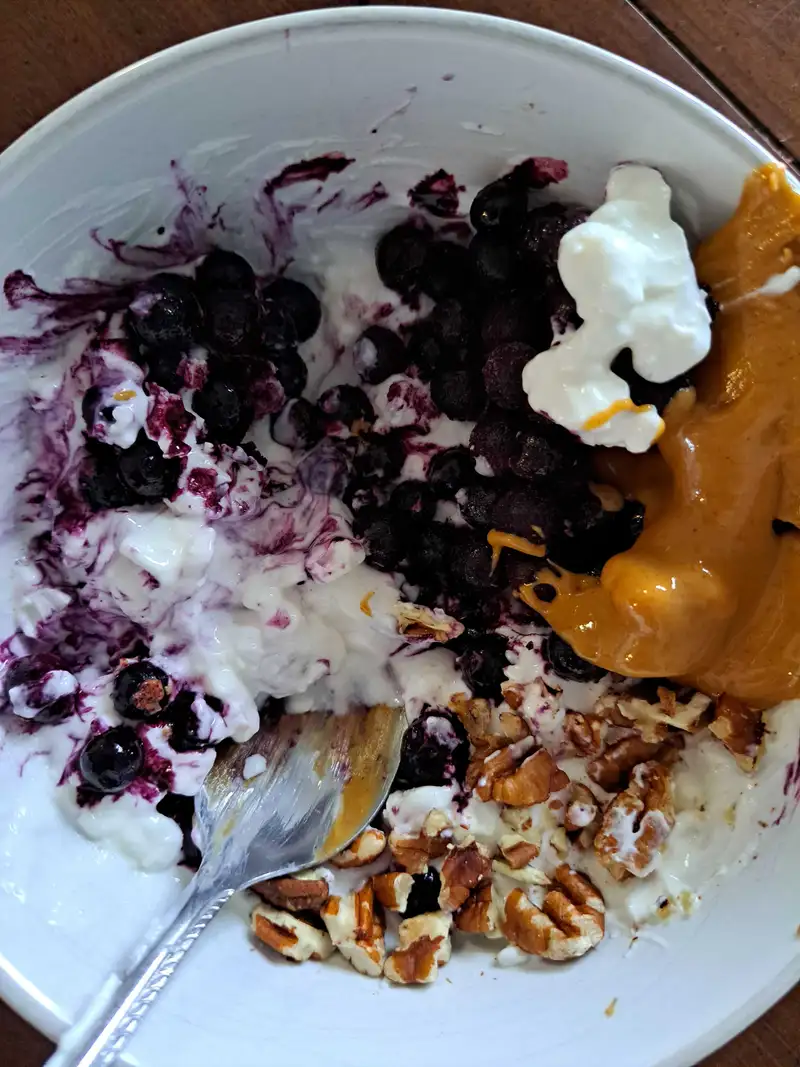 Healthy High Protein Yogurt Recipe