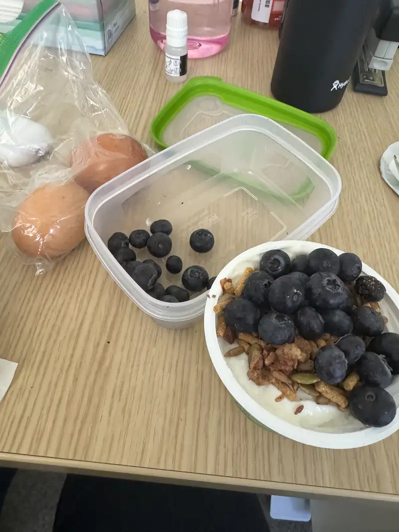 Healthy High Protein Yogurt Recipe