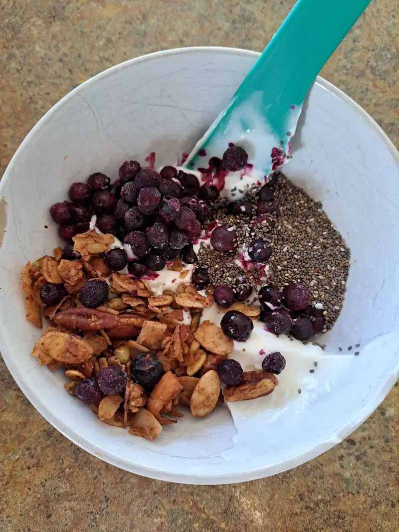 Healthy High Protein Yogurt Recipe