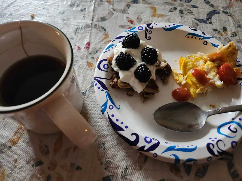 Healthy High Protein Yogurt Recipe