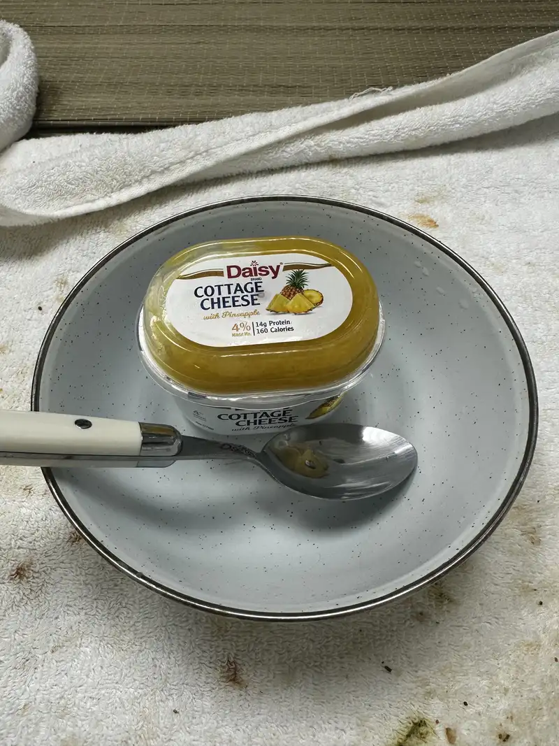 Healthy High Protein Yogurt Recipe