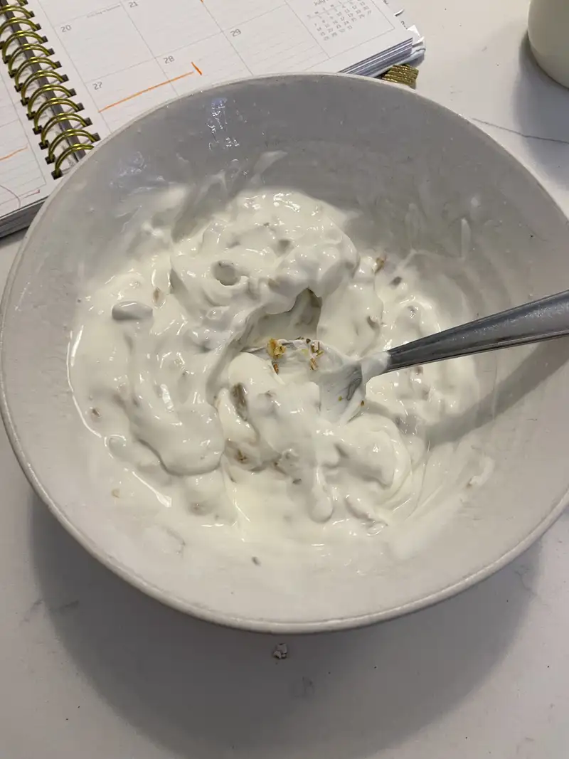 Healthy High Protein Yogurt Recipe