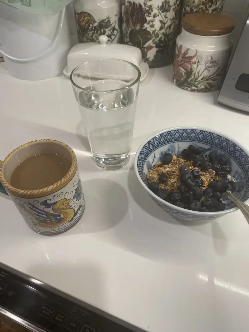 Healthy High Protein Yogurt Recipe