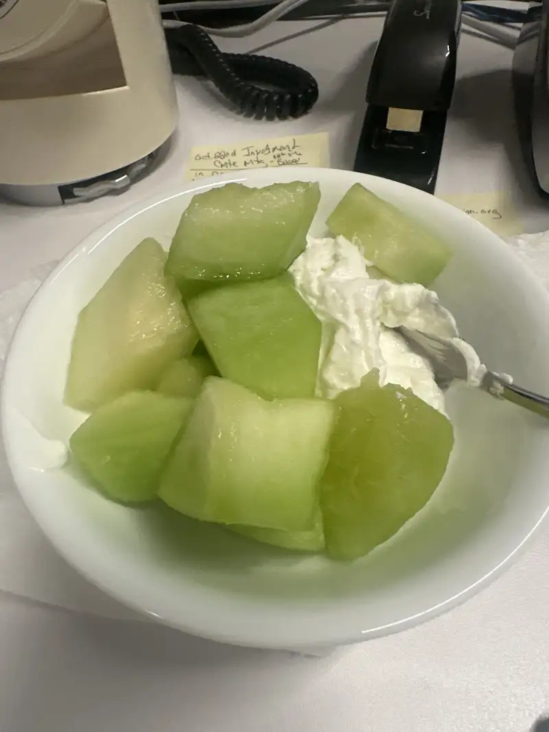 Healthy High Protein Yogurt Recipe