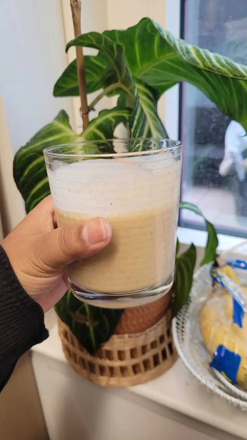 Healthy High Protein Yogurt Recipe