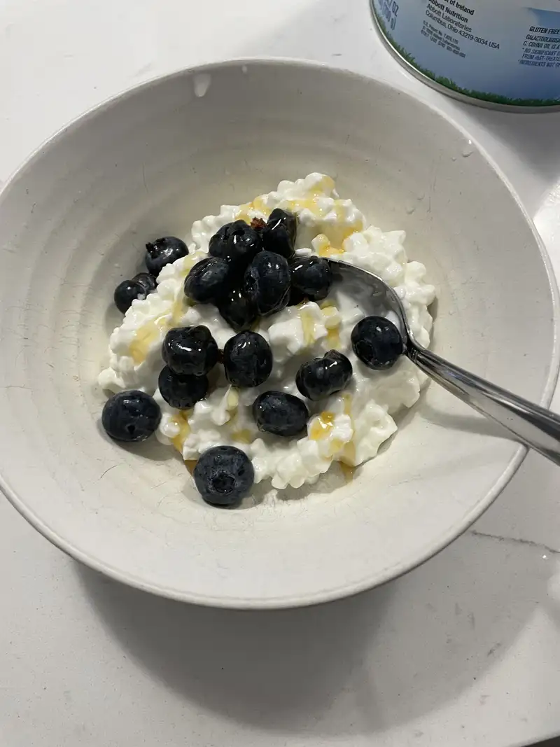 Healthy High Protein Yogurt Recipe