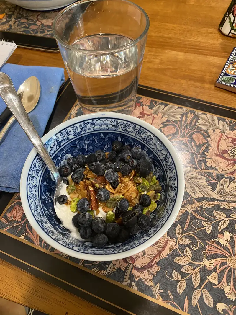 Healthy High Protein Yogurt Recipe