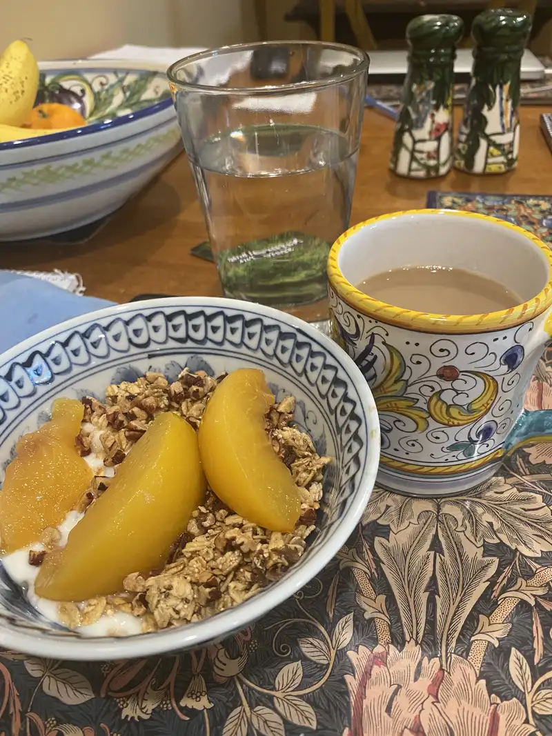 Healthy High Protein Yogurt Recipe