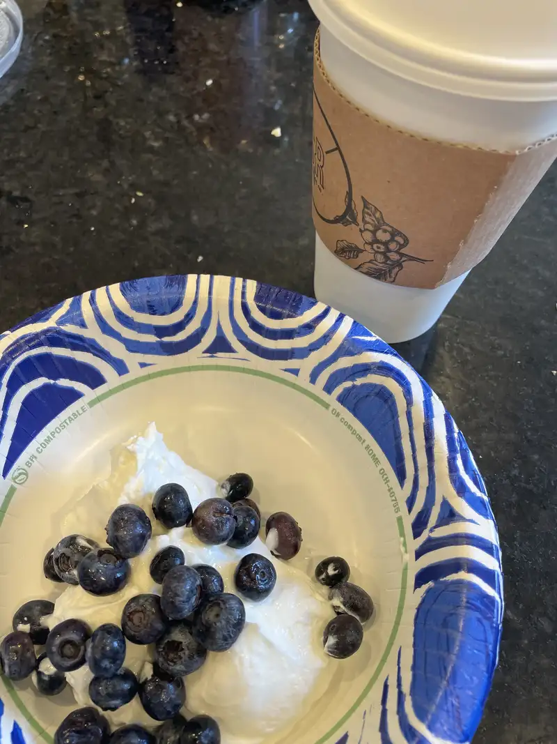 Healthy High Protein Yogurt Recipe