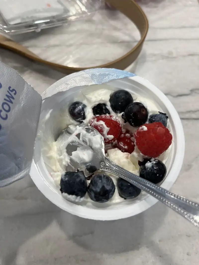 Healthy High Protein Yogurt Recipe
