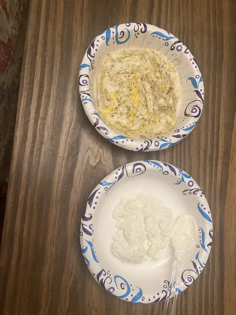 Healthy High Protein Yogurt Recipe