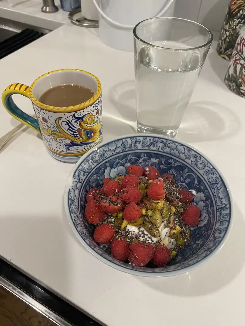 Healthy High Protein Yogurt Recipe