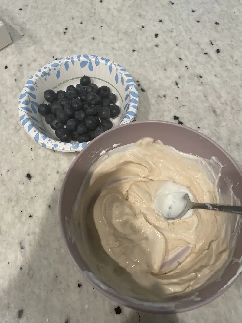 Healthy High Protein Yogurt Recipe