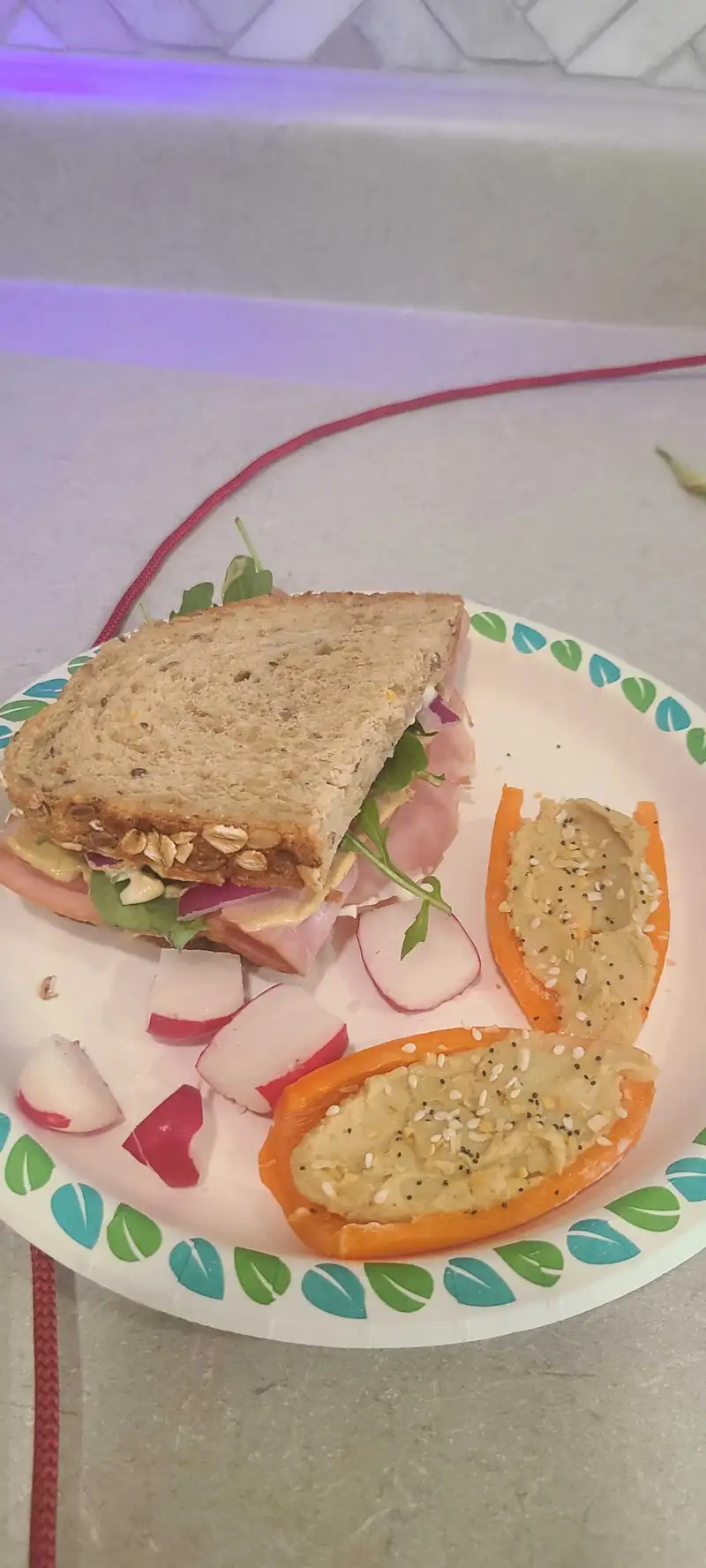 Healthy Hummus Delight Recipe