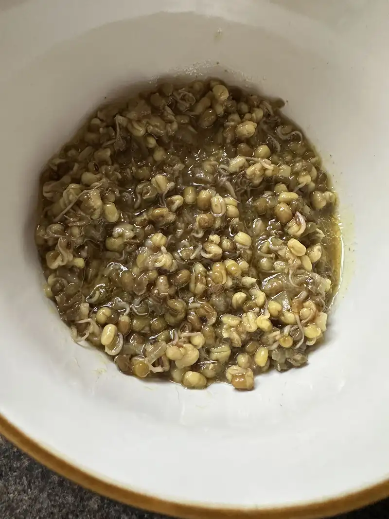 Healthy Indian Kidney Bean Recipe