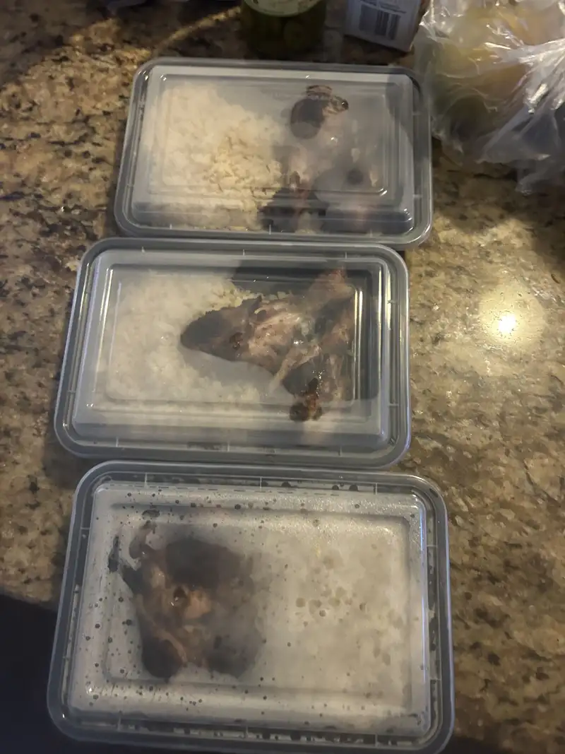 Healthy Jerk Chicken Recipe