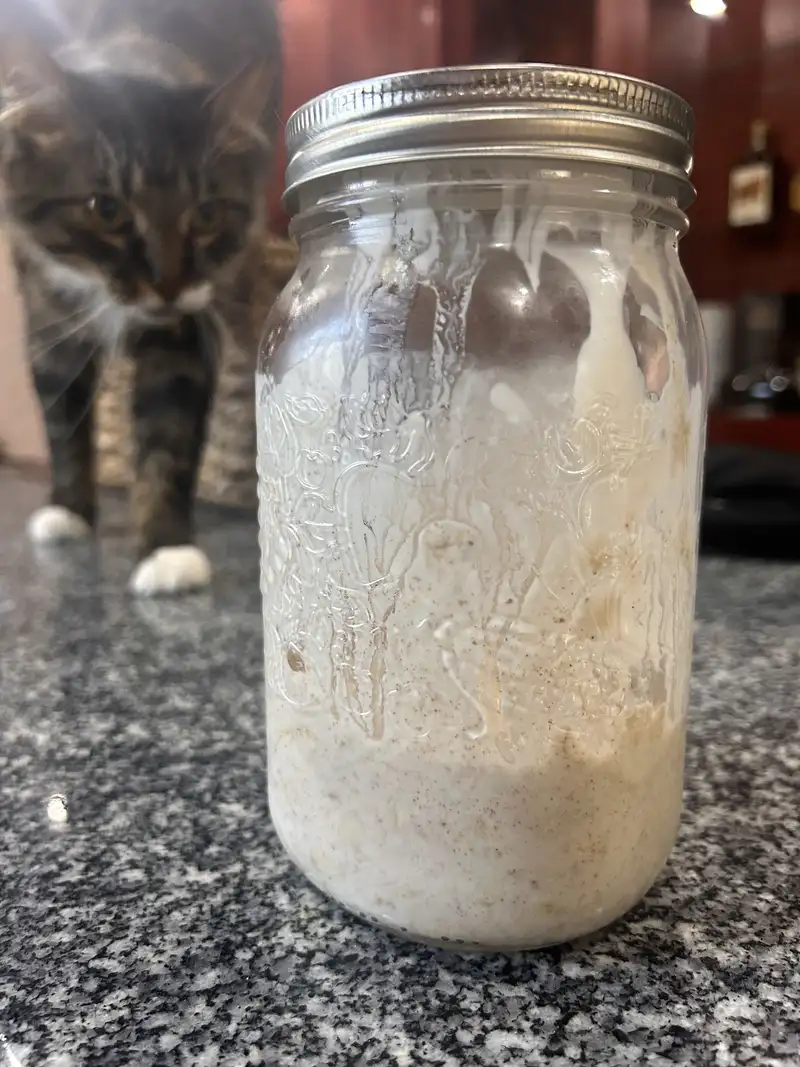 Healthy Overnight Oats Recipe with Protein Powder