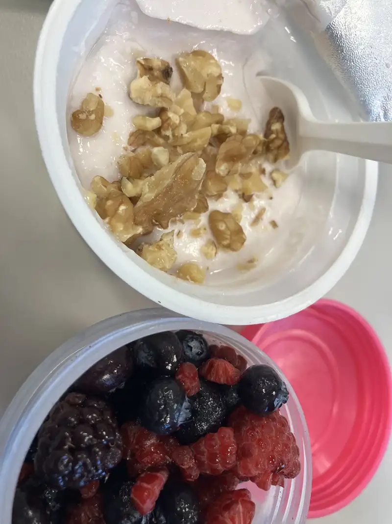 Healthy Protein-Packed Berry Yogurt Snack Recipe