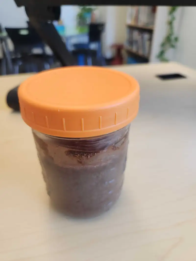 Healthy Protein Pudding Recipe