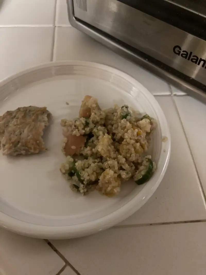 Healthy Protein-Rich Snack Recipe