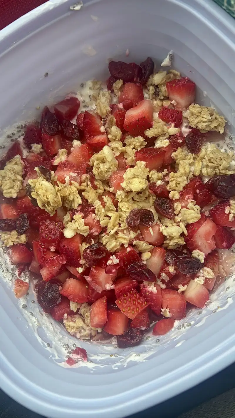Healthy Protein Snack Delight Recipe