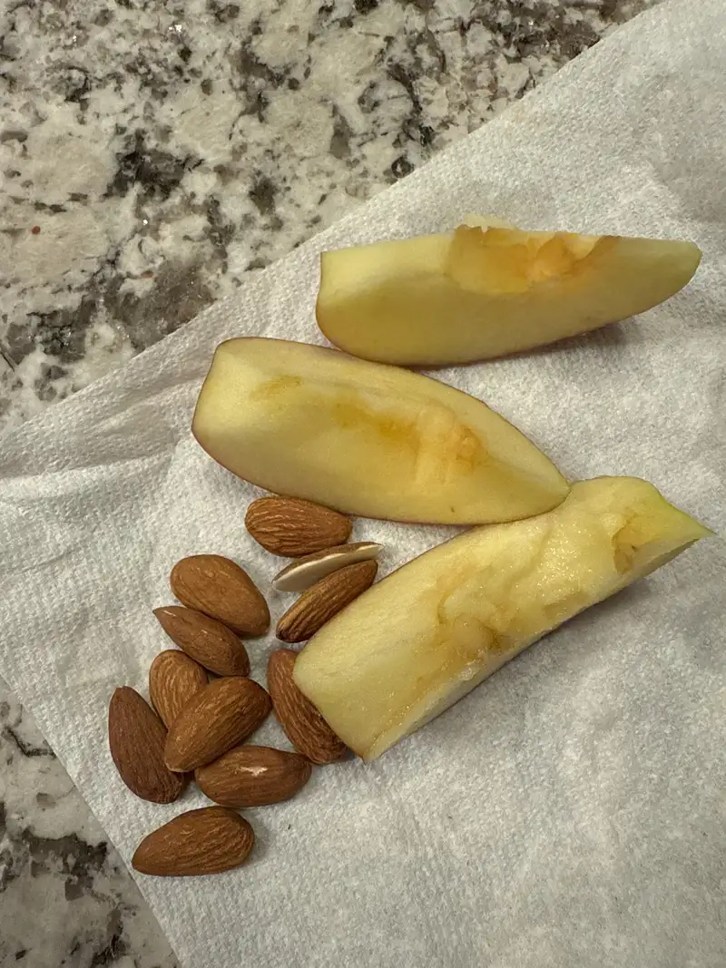 Healthy Protein Snack Recipe