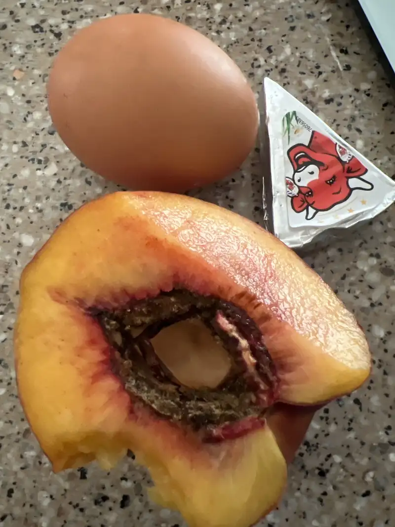 Healthy Protein Snack Recipe