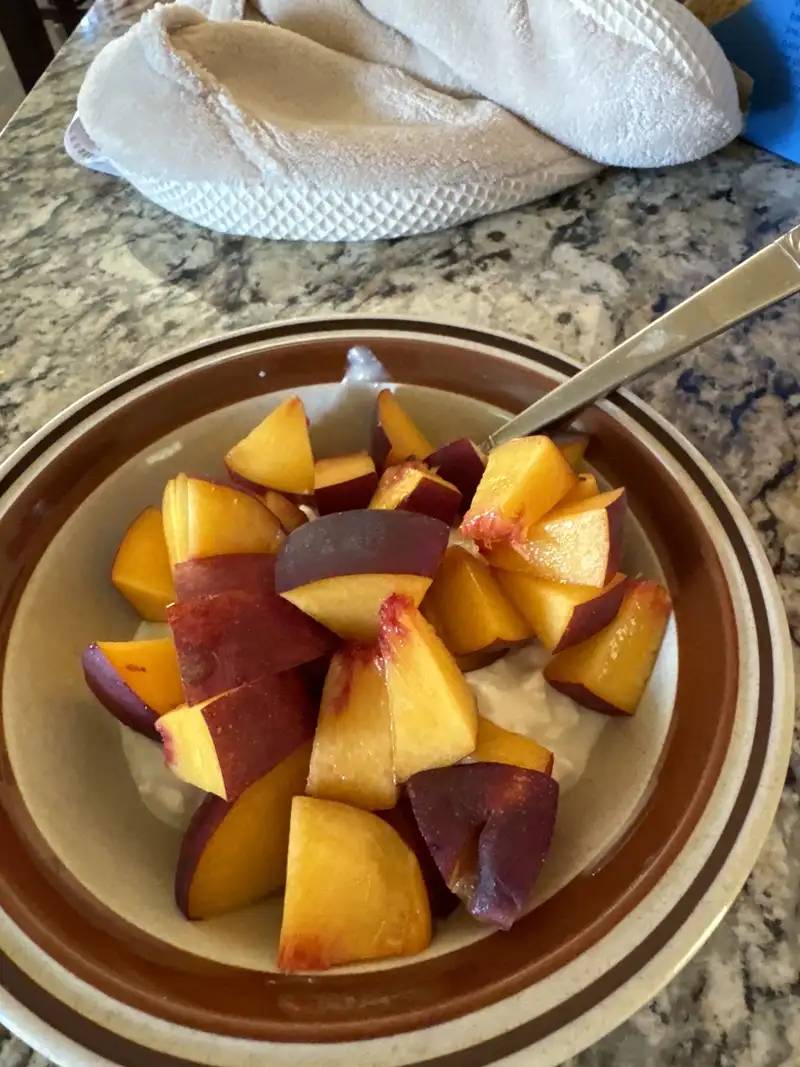 Healthy Protein Snack Recipe