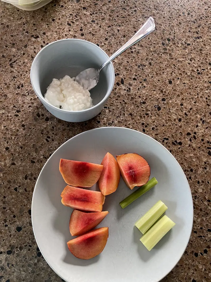 Healthy Protein Snack Recipe