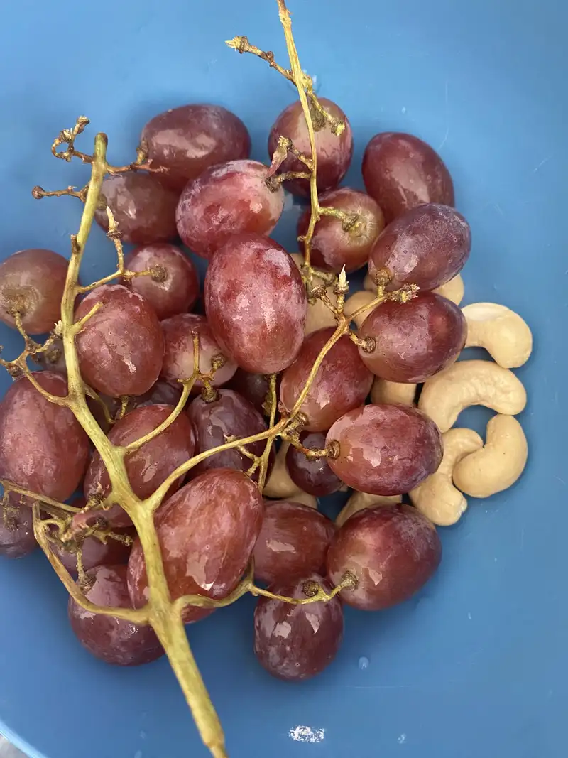 Healthy Protein Snacks Recipe