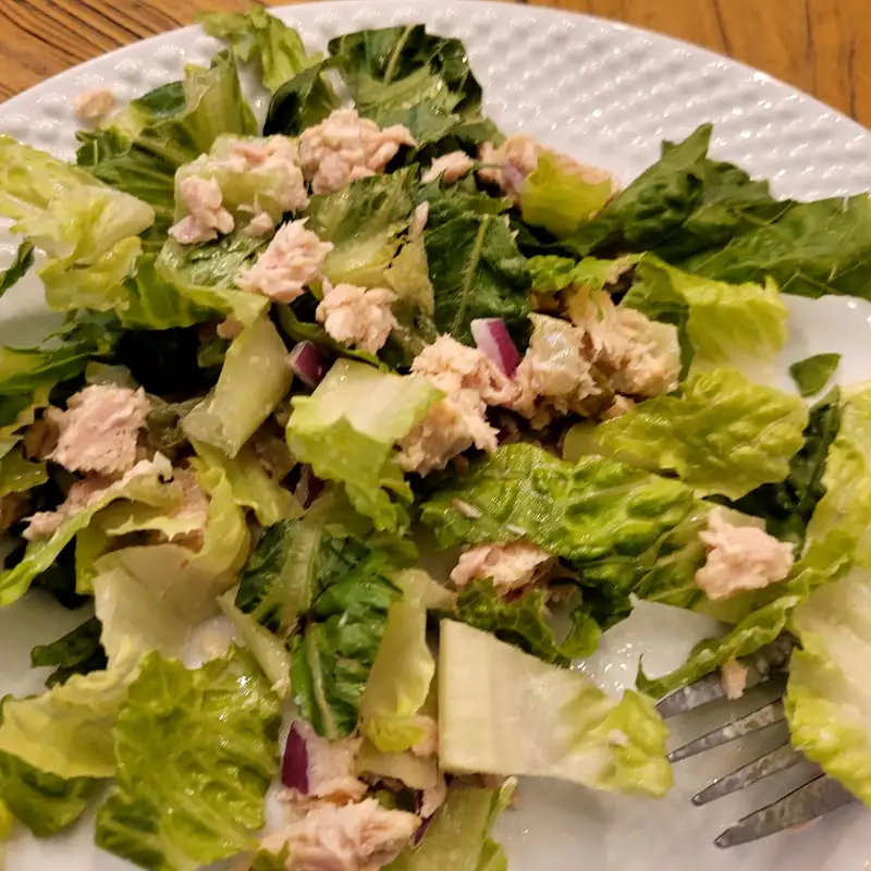 Healthy Tuna Salad Recipe