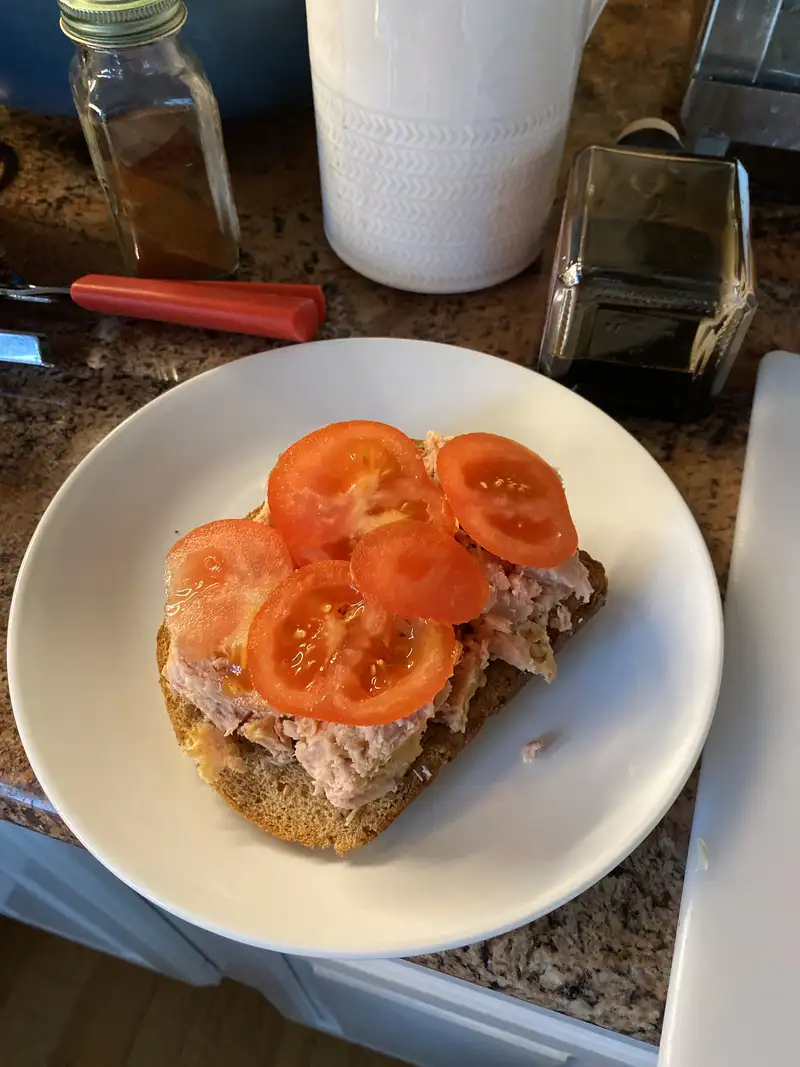 Healthy Tuna Sandwich Recipe