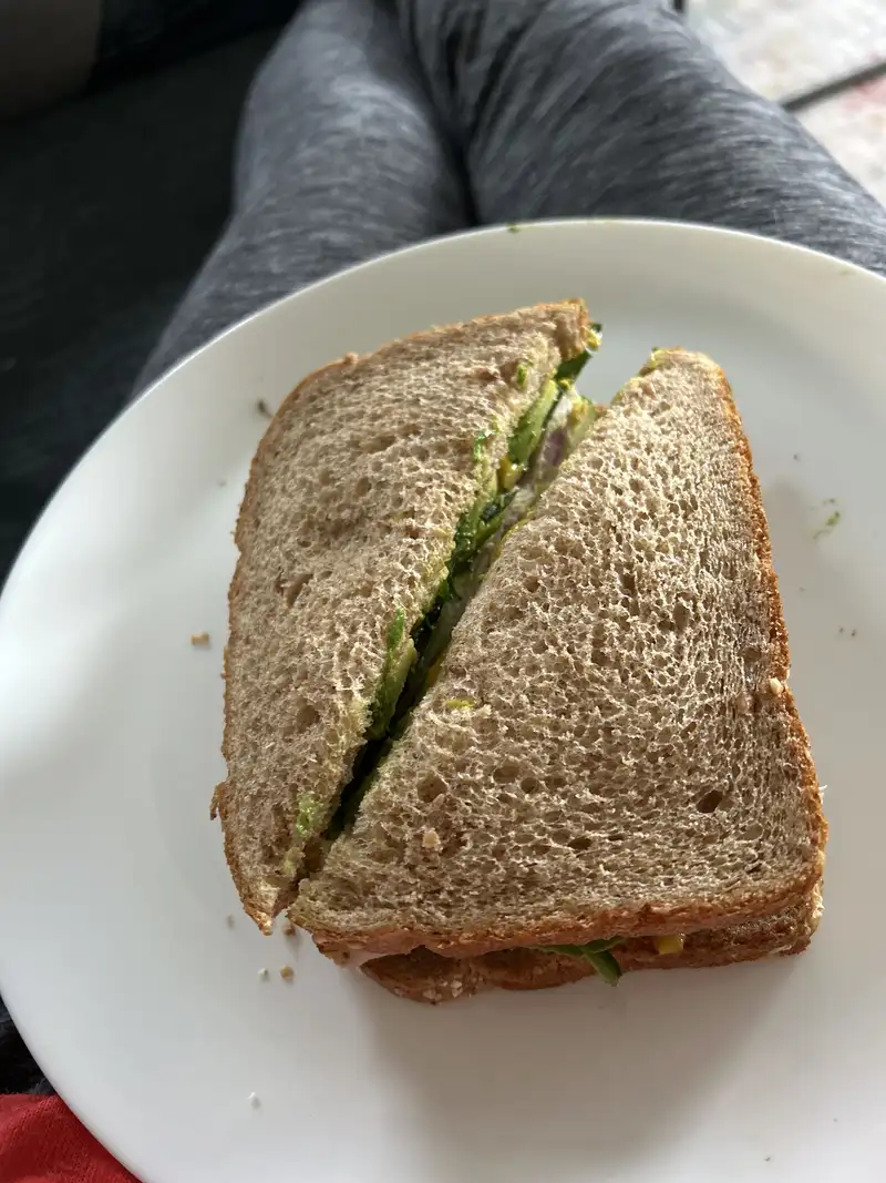 Healthy Turkey Avocado Sandwich Recipe