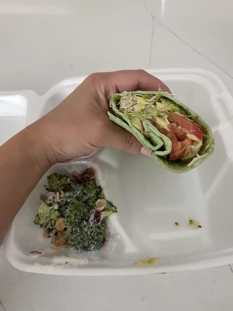 Healthy Turkey Avocado Wrap Recipe