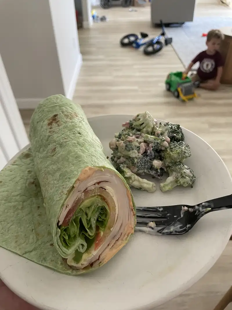 Healthy Turkey Avocado Wrap Recipe