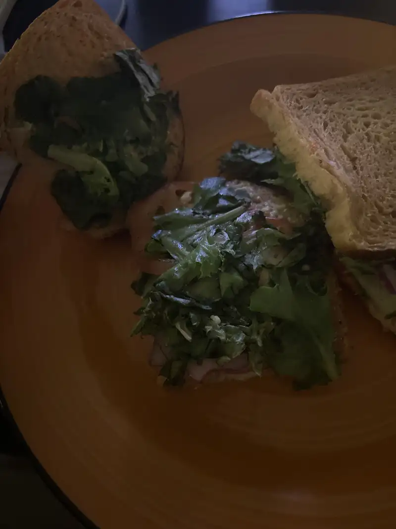 Healthy Whole Wheat Sandwich Recipe
